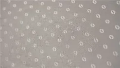 Outwell Universal Extensions - Size 1 -Cheap Awning Store 23203 3