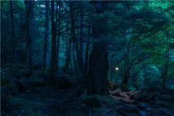 Snow Peak Hozuki Light - Green 17 Snow Peak Hozuki Light - Green -Cheap Awning Store 30264 4