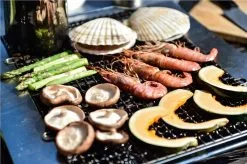 Snow Peak Fireplace Grill Pro L -Cheap Awning Store 31100 9