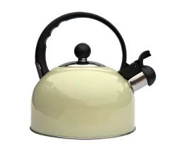 Quest Stainless Steel Whistling Kettle 2.2L - Black