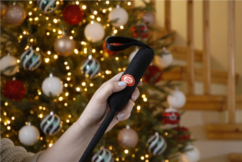 FESTIVE 26cm Walking And Singing Stegosaurus Dinosaur 5 FESTIVE 26cm Walking And Singing Stegosaurus Dinosaur - Image 5