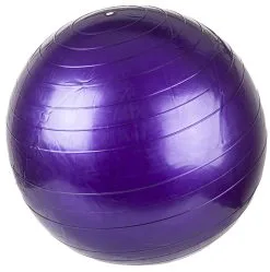 Pursuit Fitness 55cm Exercise Ball - Each