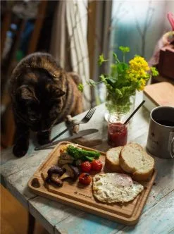 Snow Peak My Plate -Cheap Awning Store 33484 8