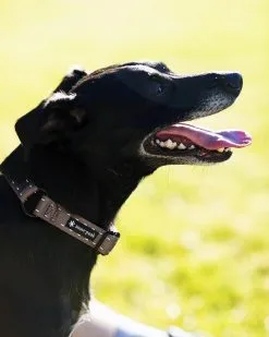 Snow Peak Slip Collar - S -Cheap Awning Store 33517 3