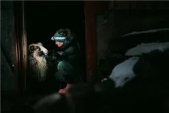 Silva Terra Scout XT Head Torch -Cheap Awning Store 34861 6